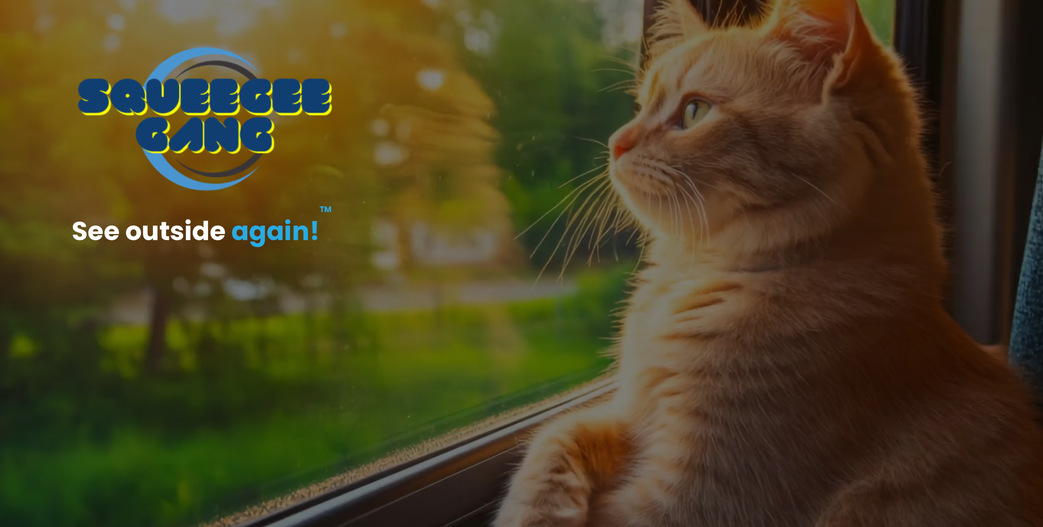 Squeegee Gang homepage, showing a cat looking out a clean window beside the logo and the tagline See outside again