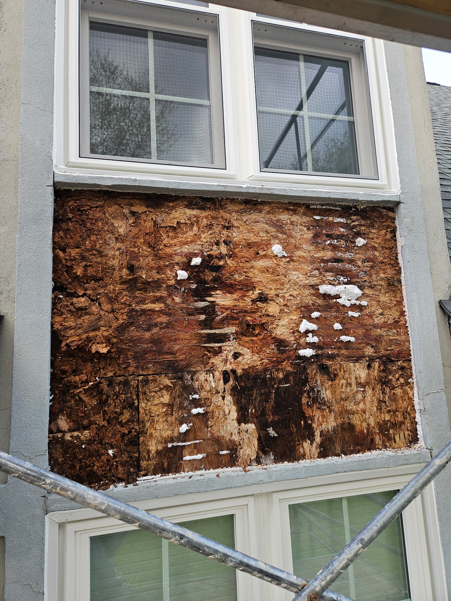 Rotted OSB sheathing exposed during EIFS repair, Virginia Beach