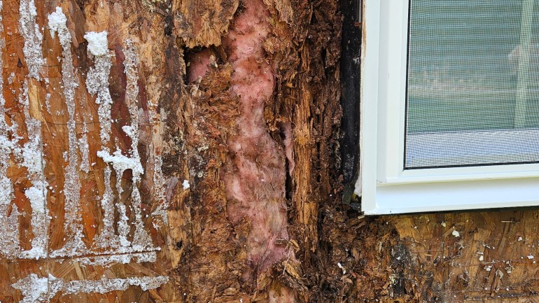 EIFS moisture damage repair Modern Wall Systems