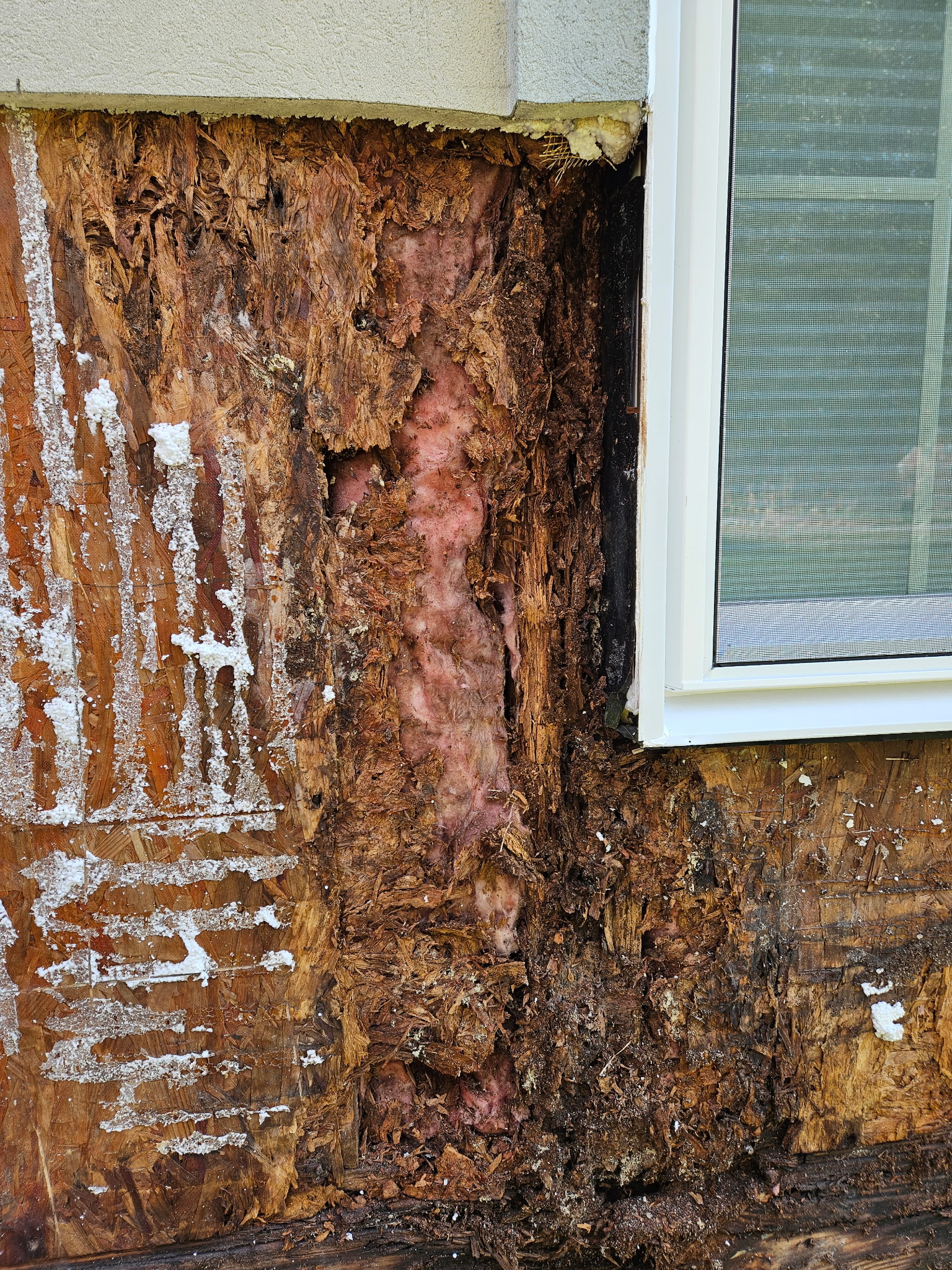 Rotted sheathing behind failed EIFS, Hampton Roads
