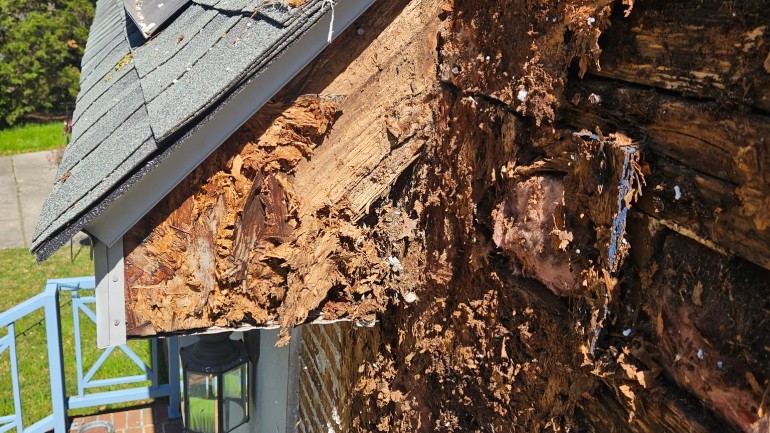 EIFS moisture damage repair Modern Wall Systems